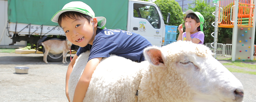 スライドショー画像