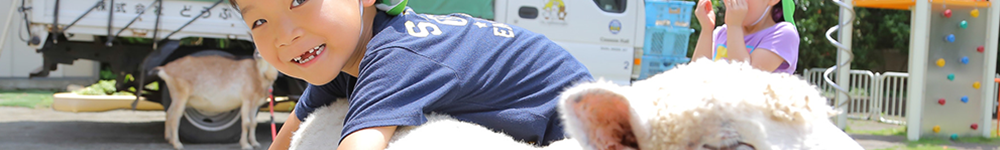 スライドショー画像